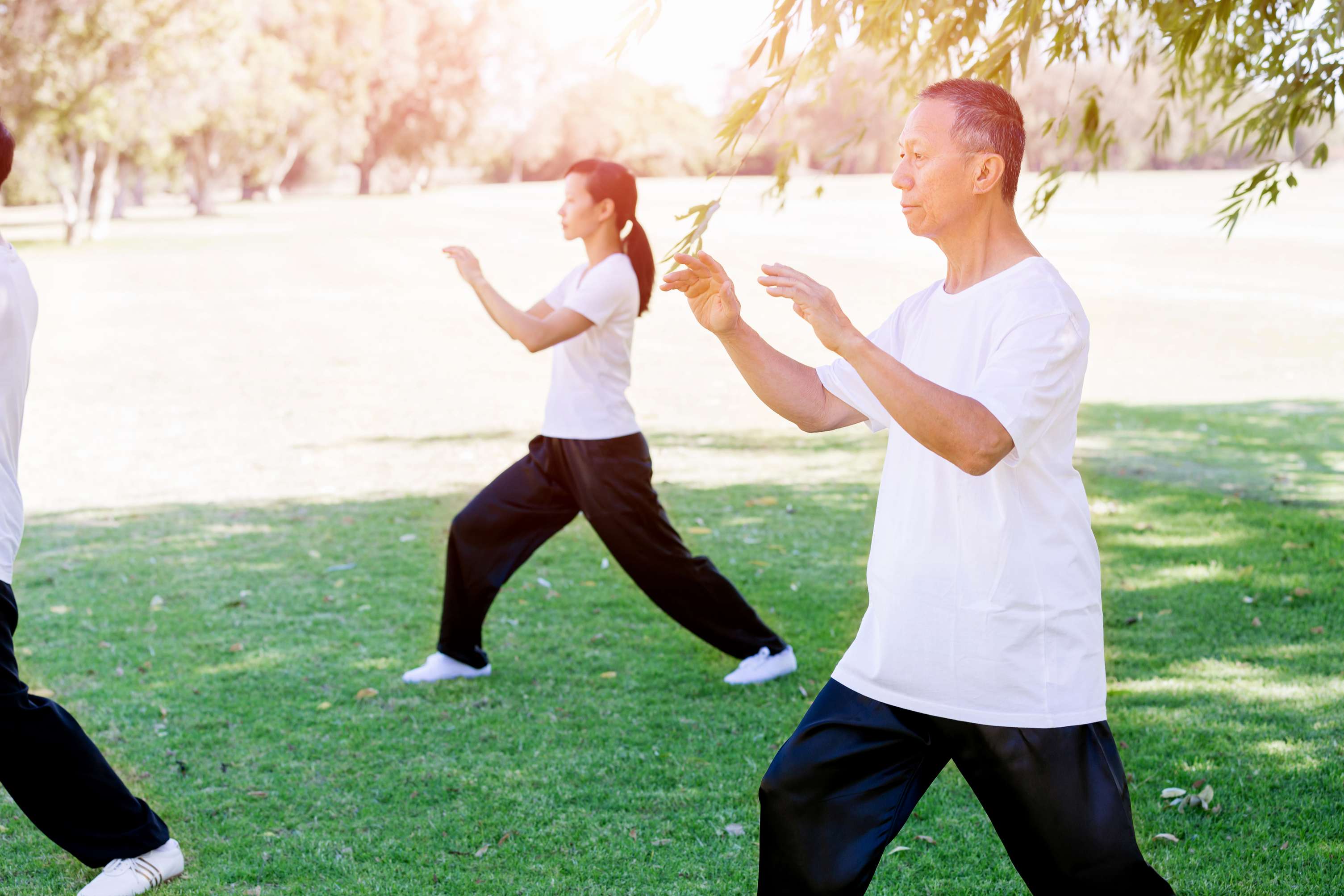 Was Tai-Chi, QiGong und Aikido so gesund macht