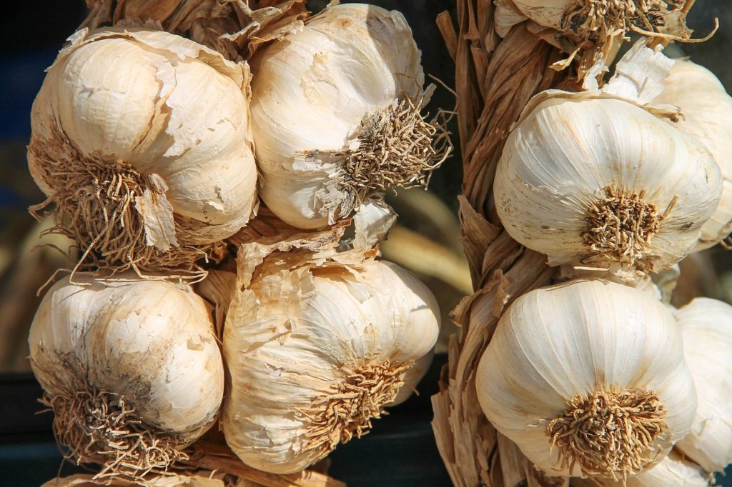 Sportler sollten regelmäßig Knoblauch essen