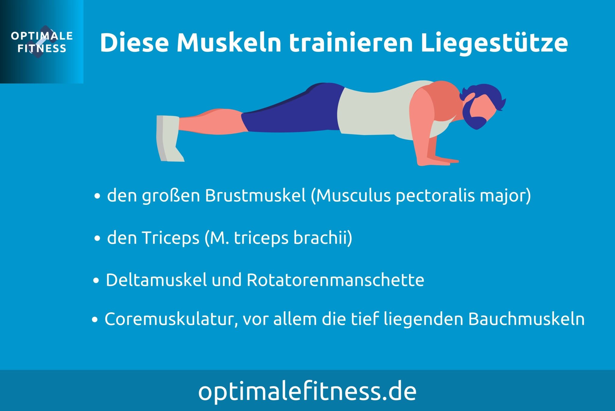 Liegestütze Variationen vom Anfänger zum Profi OPTIMALEFITNESS