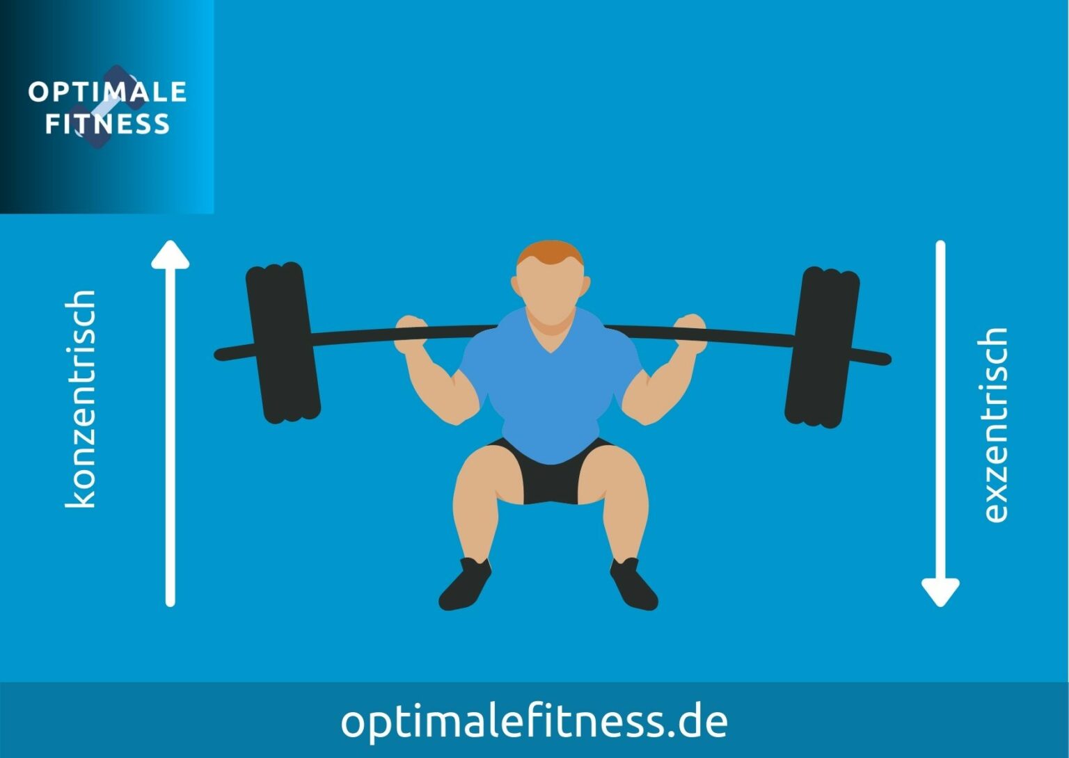 Exzentrisches Training Für Ein Plus An Kraft Optimalefitness