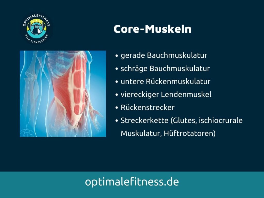 Die wichtigsten Core-Muskeln für dein Core-Training