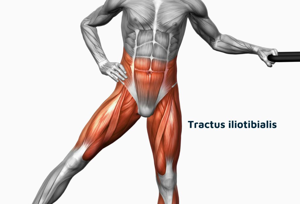 Der Tractus iliotibialis spielt eine wichtige Rolle beim Runner's Knee